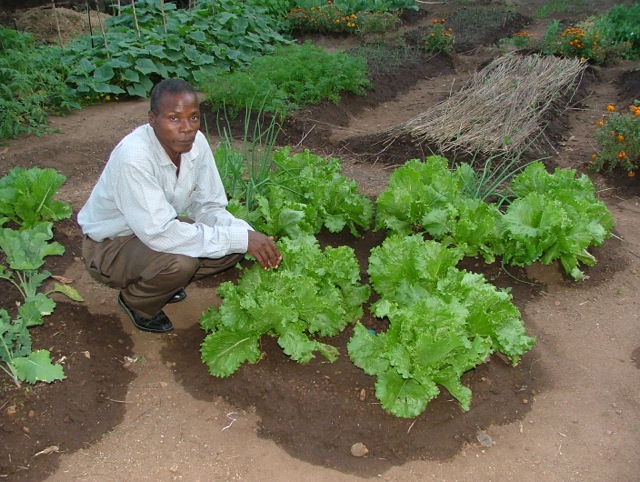 25-Greshan-with-Garden
